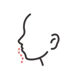 S라인 옆모습 일러스트