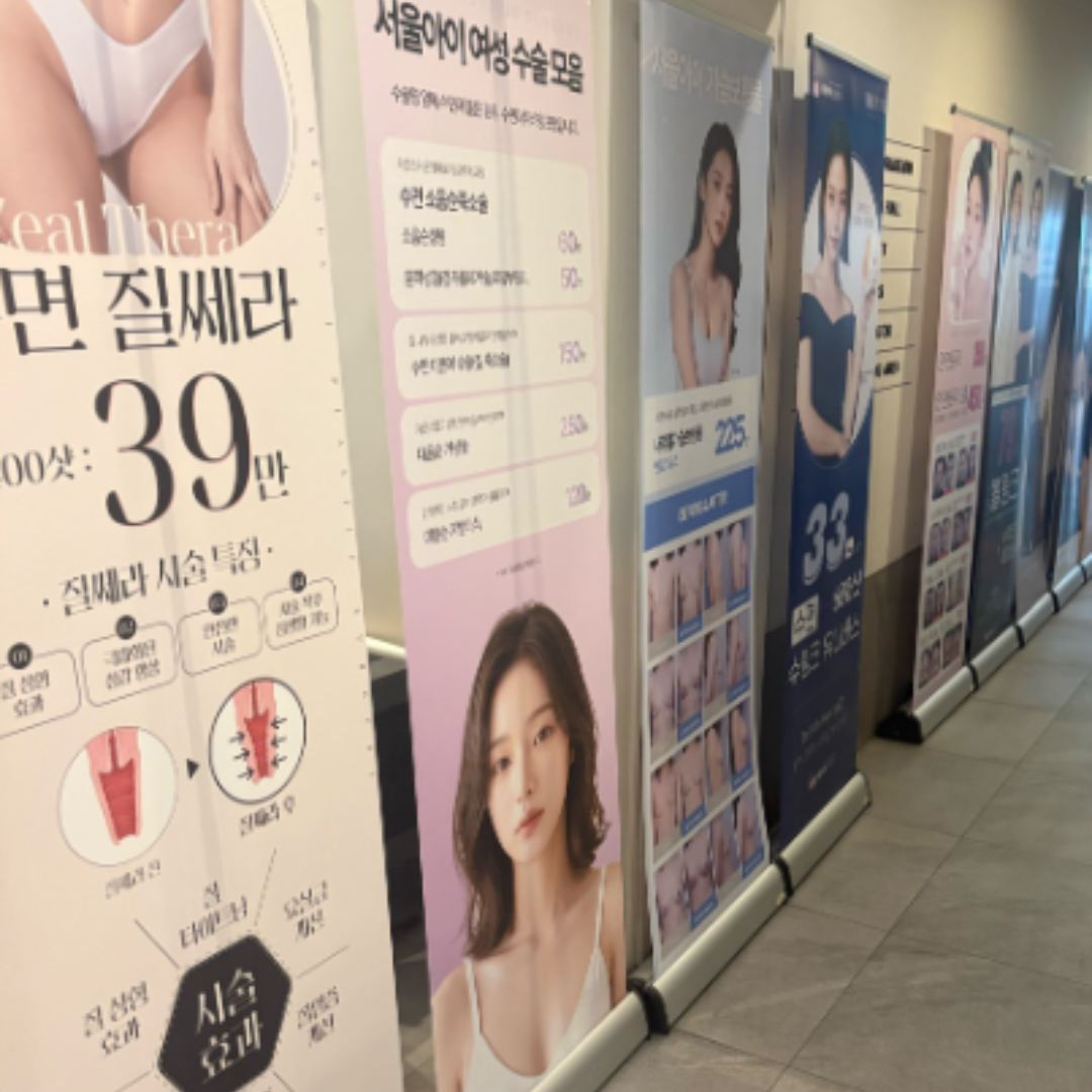 질쎄라 당일 후기입니다~!
